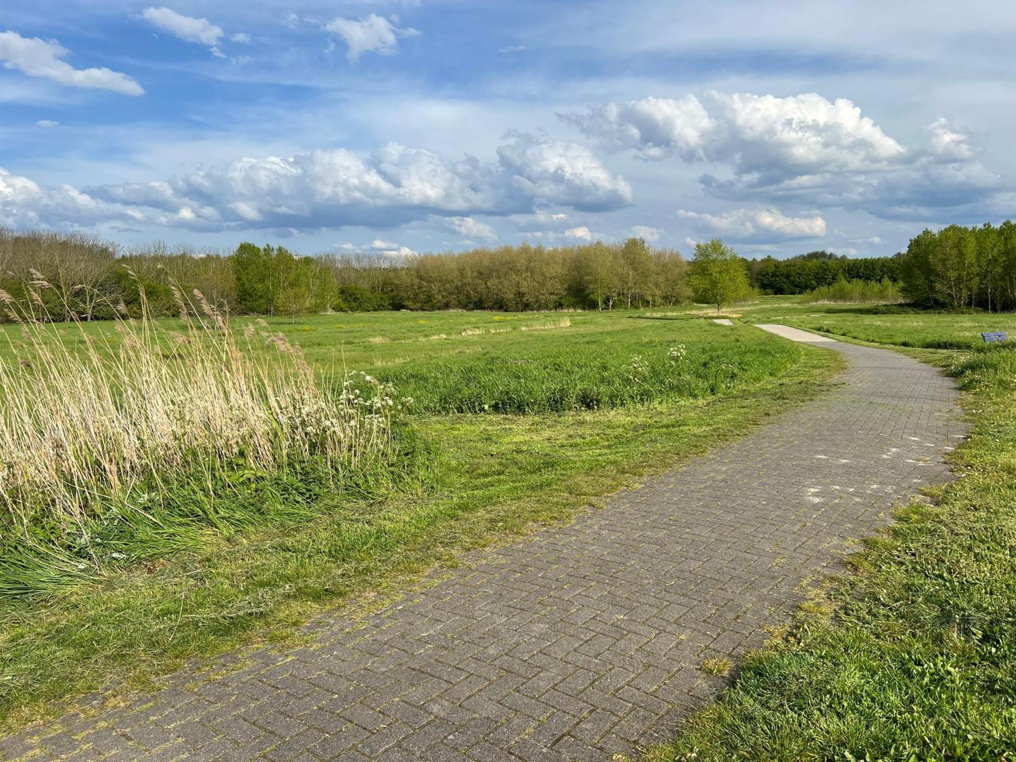 A Tiny House - Amsterdam Region Lelystad